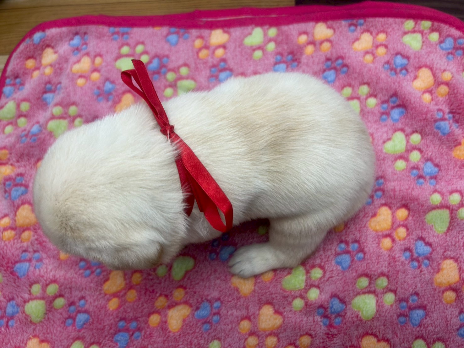 赤ちゃん写真2-3