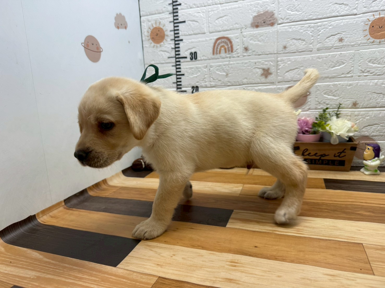 赤ちゃん写真3-2