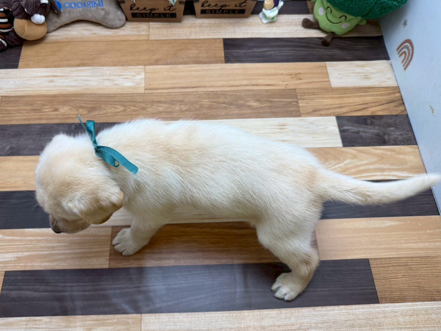 赤ちゃん写真3-3