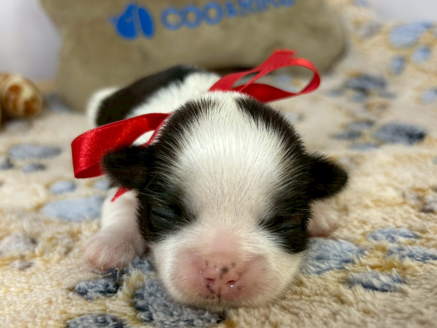 赤ちゃん写真1-1