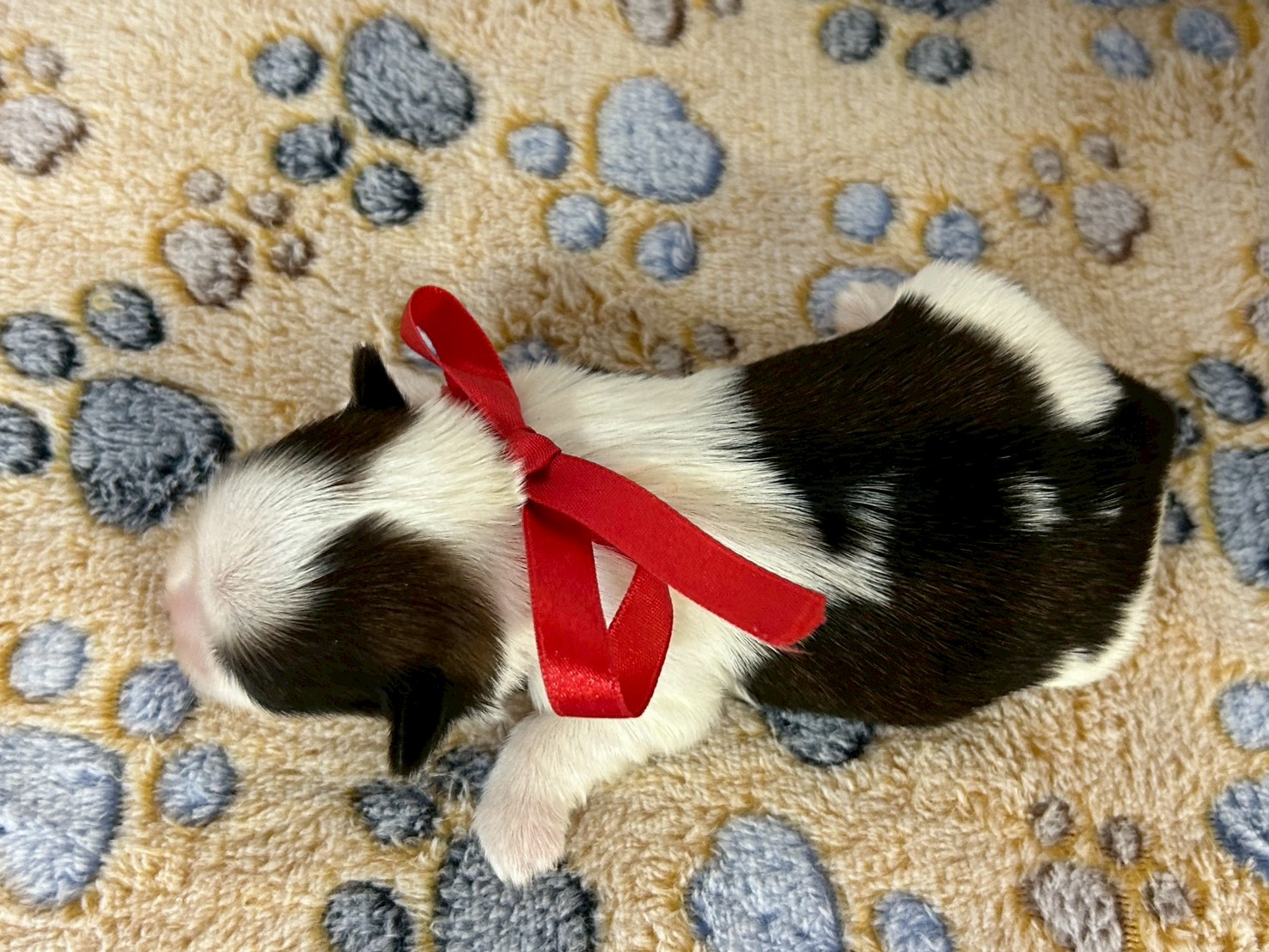 赤ちゃん写真1-3