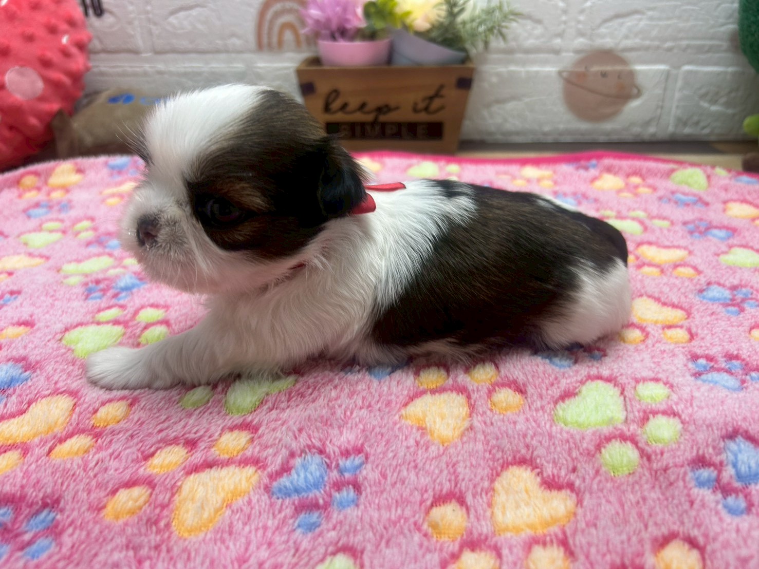 赤ちゃん写真2-2