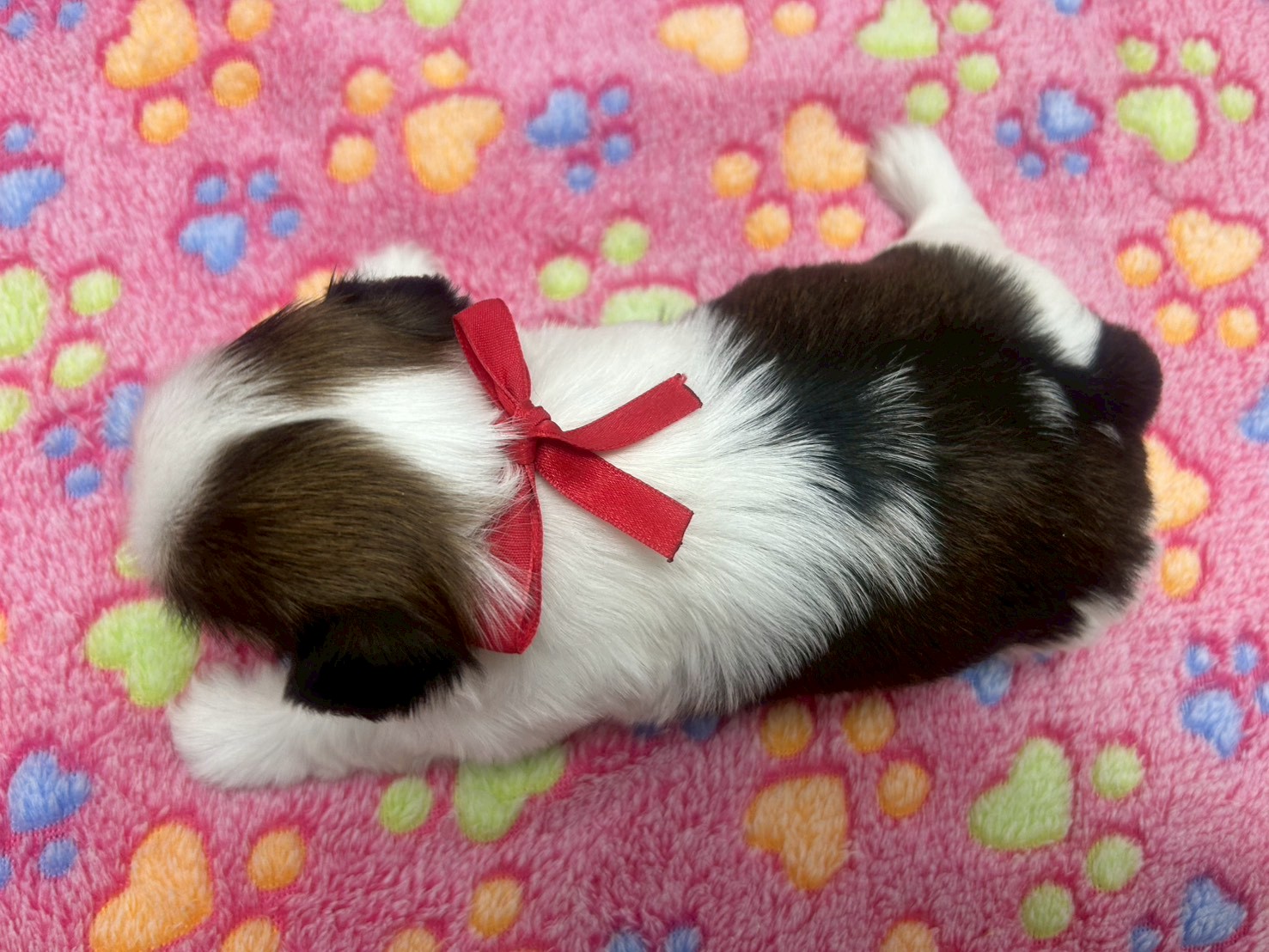 赤ちゃん写真2-3