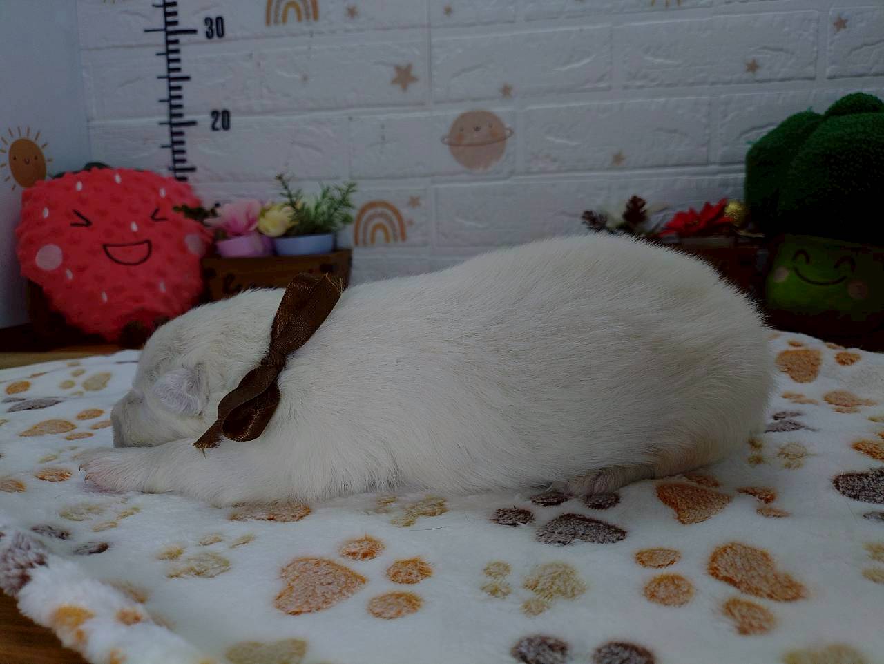 赤ちゃん写真1-2