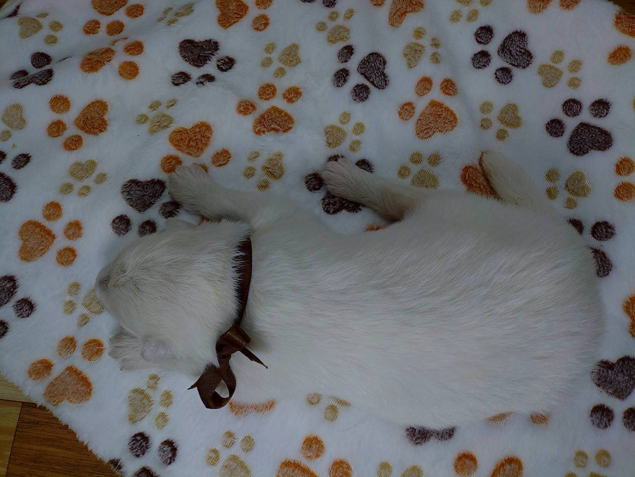 赤ちゃん写真1-3