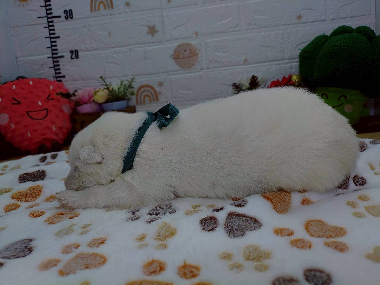 赤ちゃん写真1-2