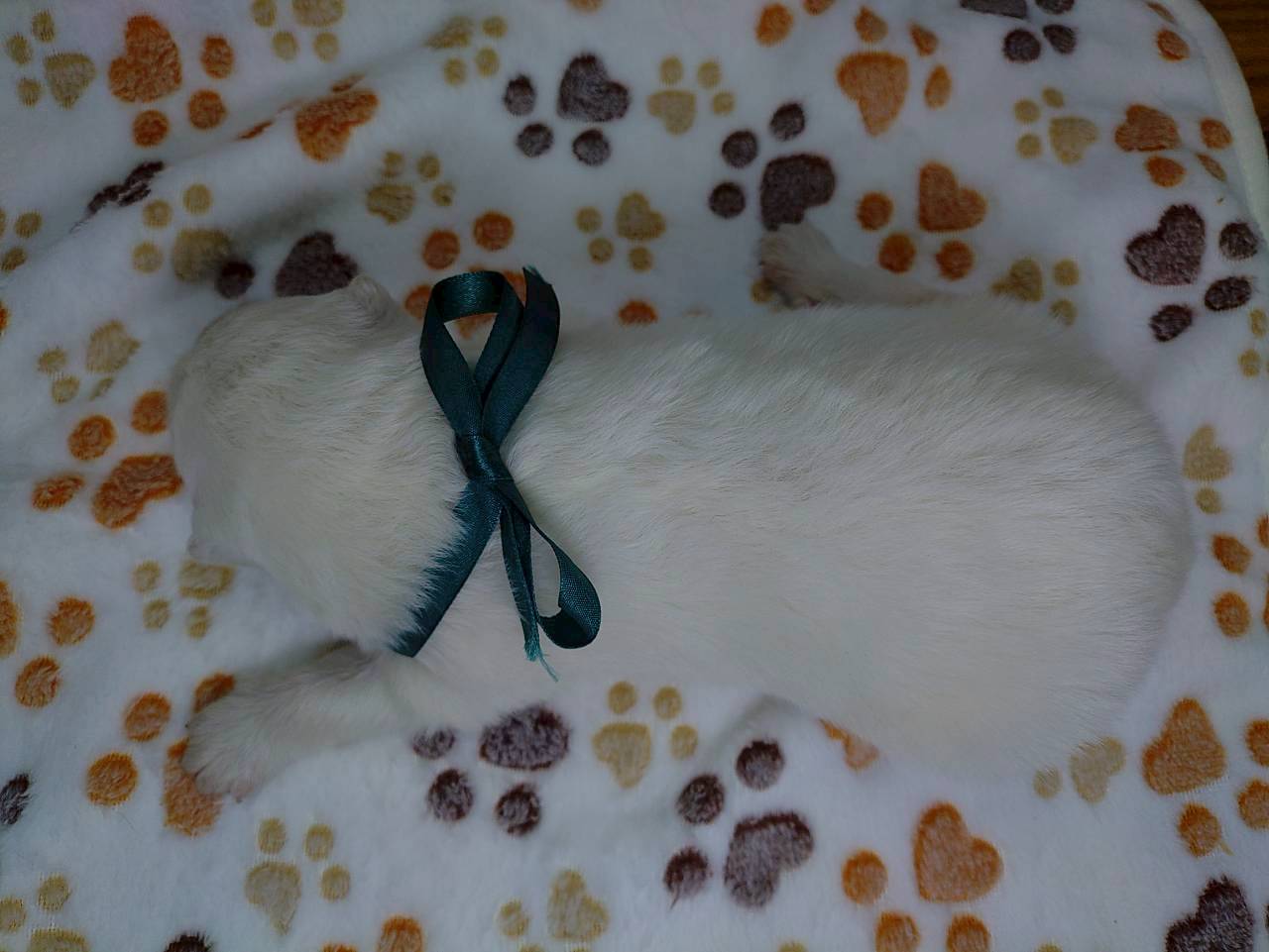 赤ちゃん写真1-3