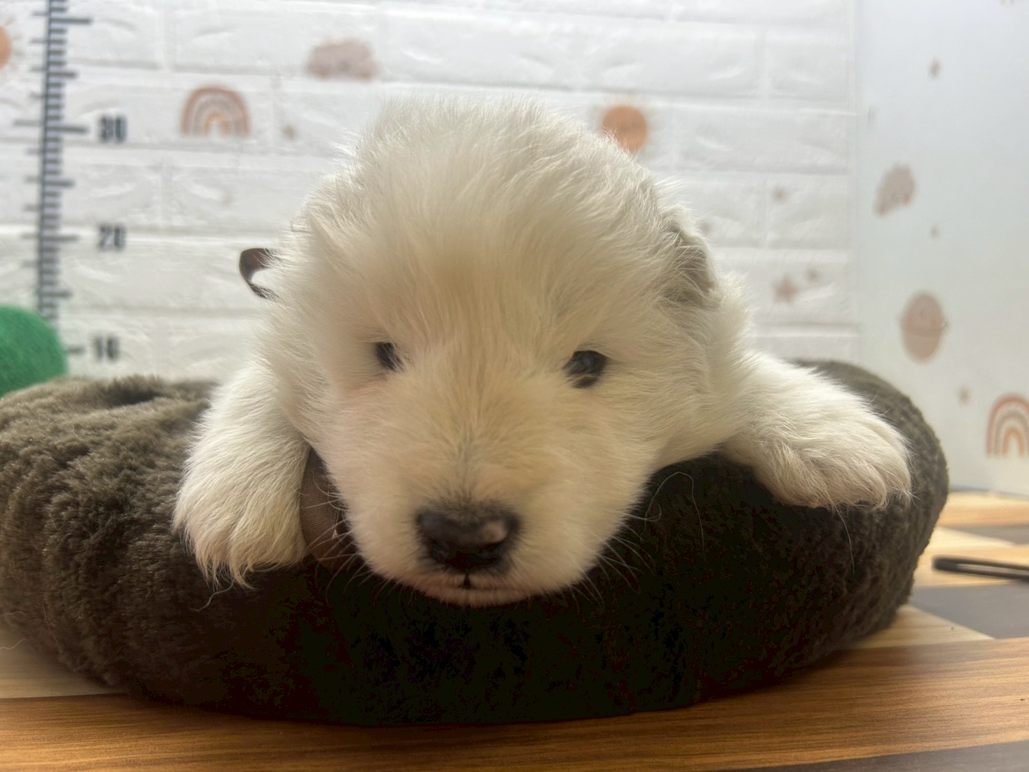 赤ちゃん写真2-1