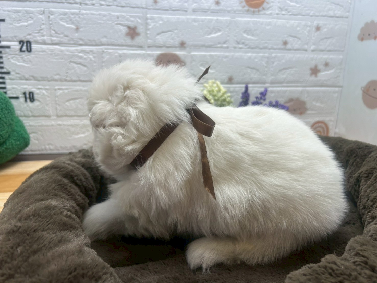 赤ちゃん写真2-2