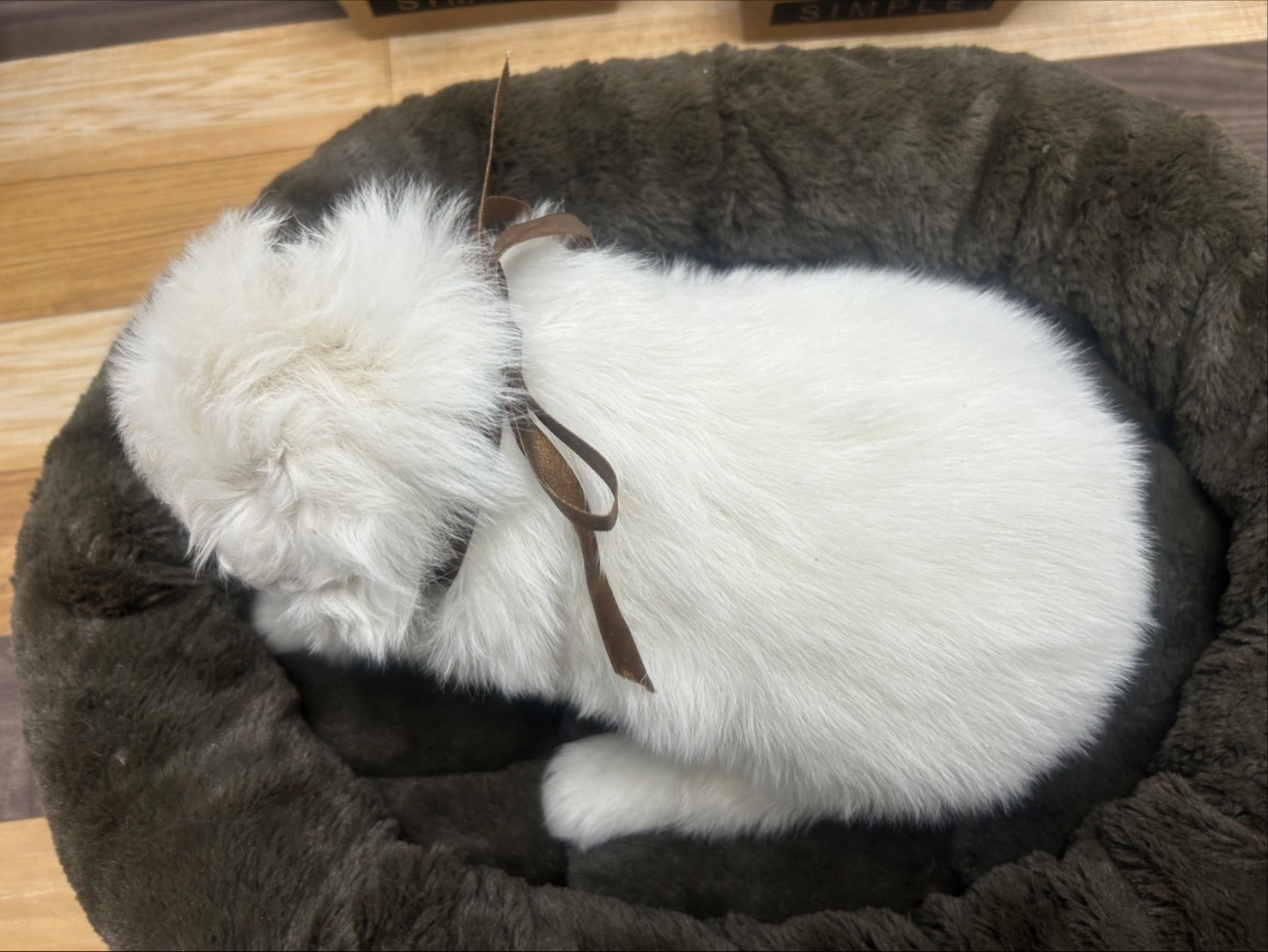 赤ちゃん写真2-3