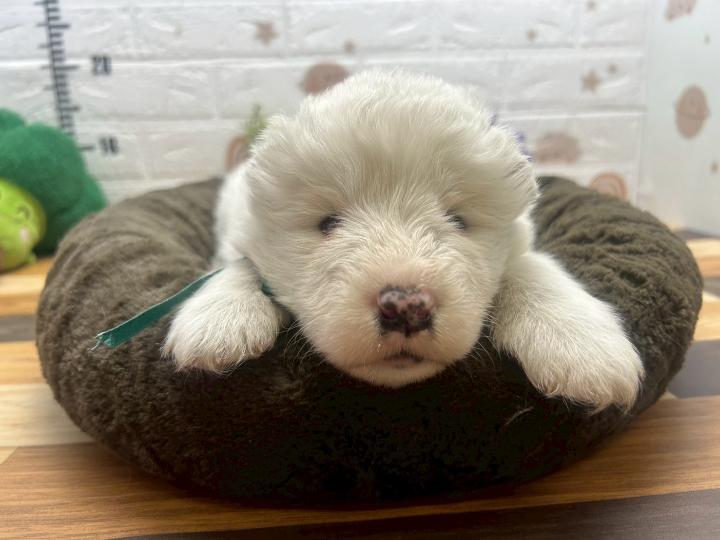 赤ちゃん写真2-1