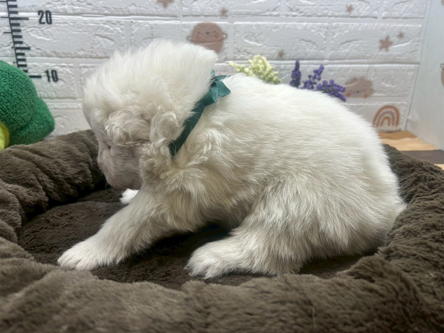 赤ちゃん写真2-2