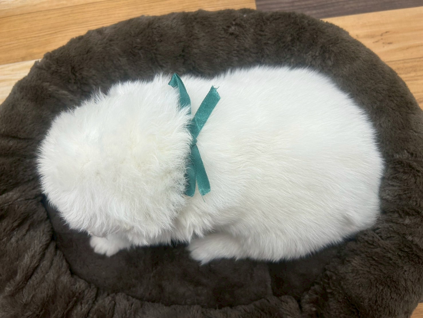 赤ちゃん写真2-3