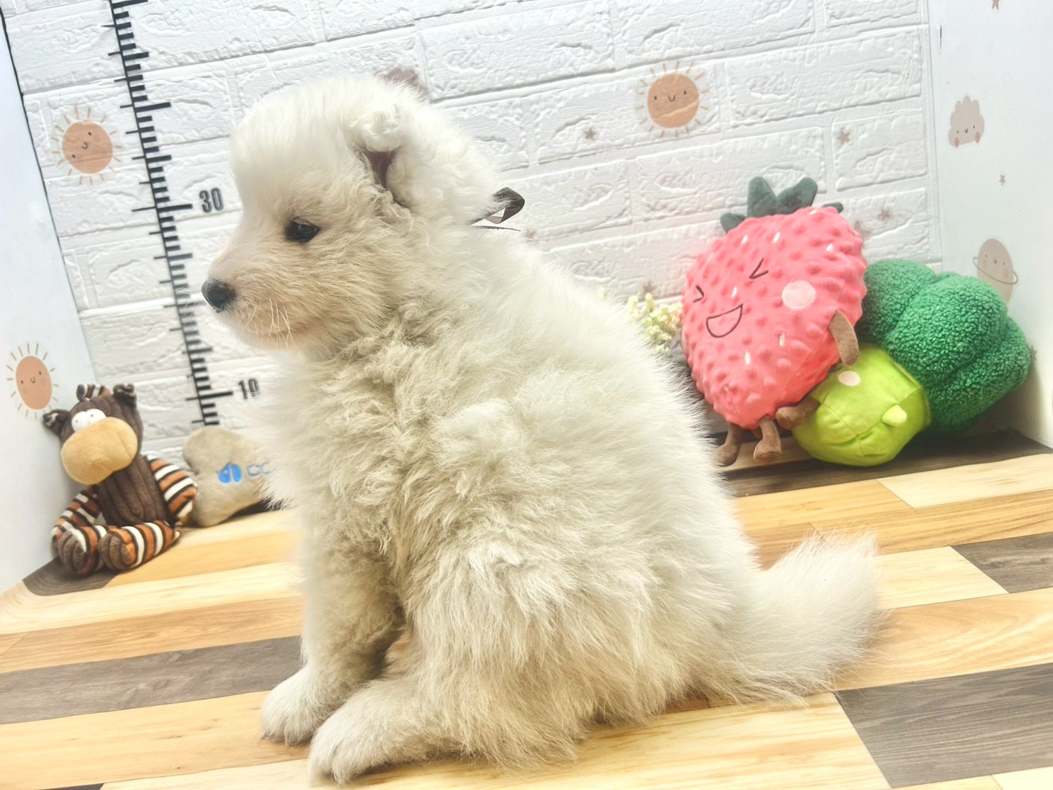 赤ちゃん写真3-2