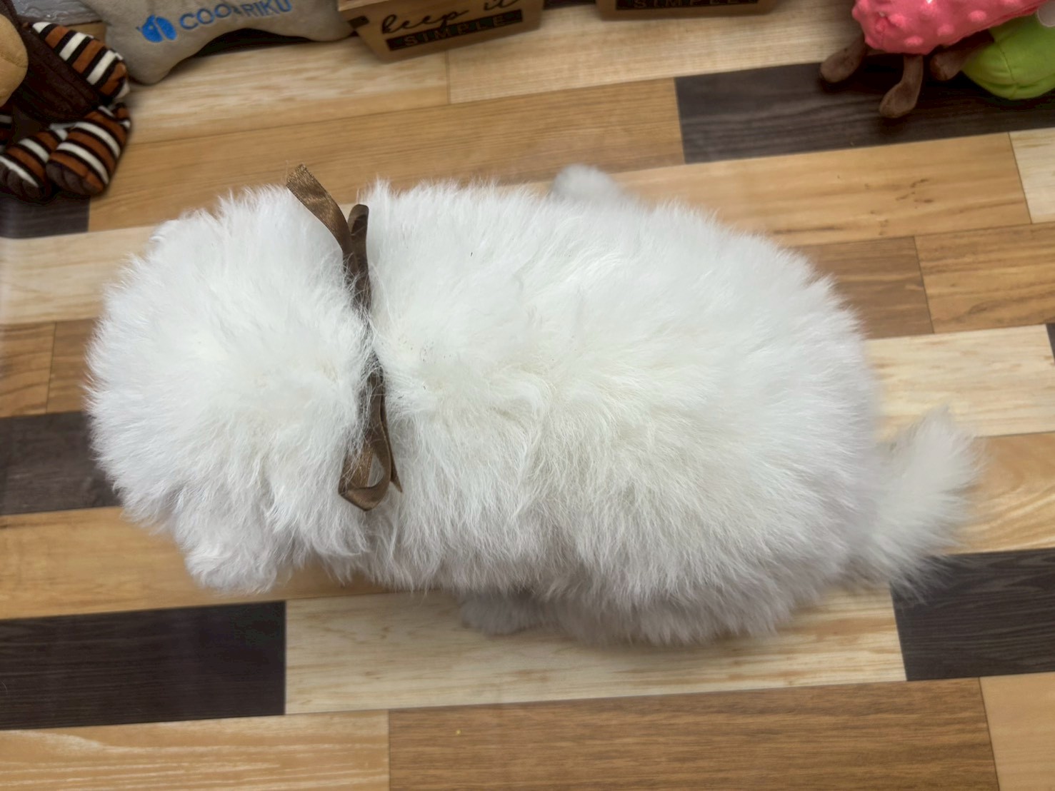 赤ちゃん写真3-3