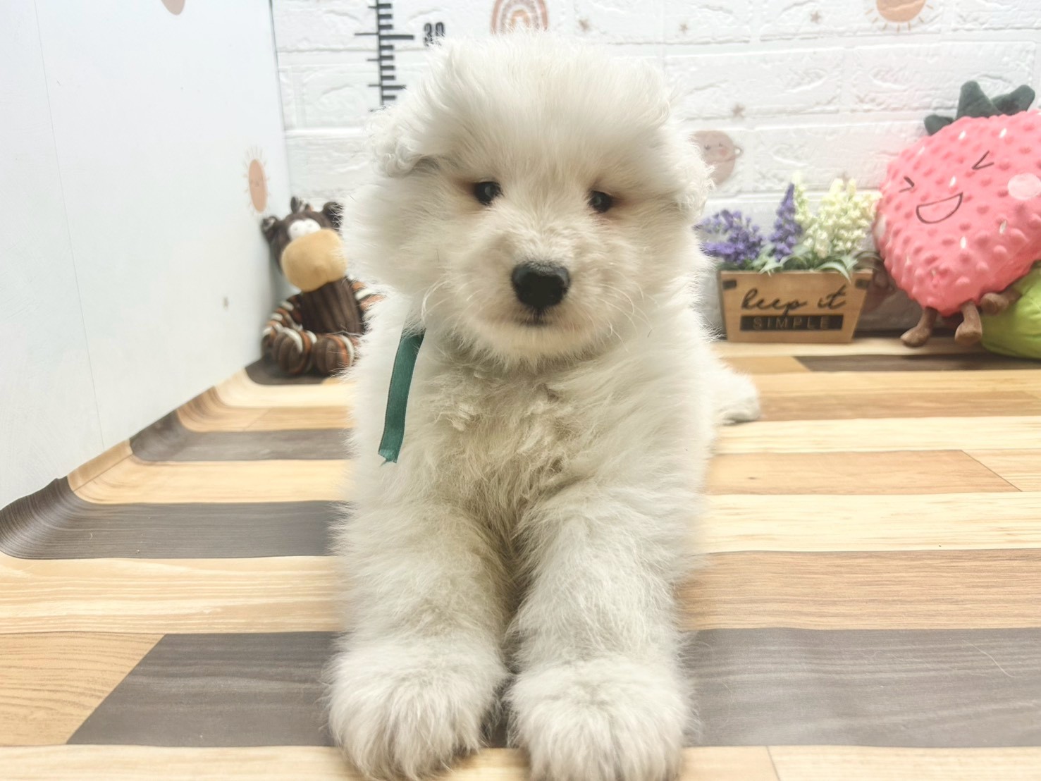 赤ちゃん写真3-1