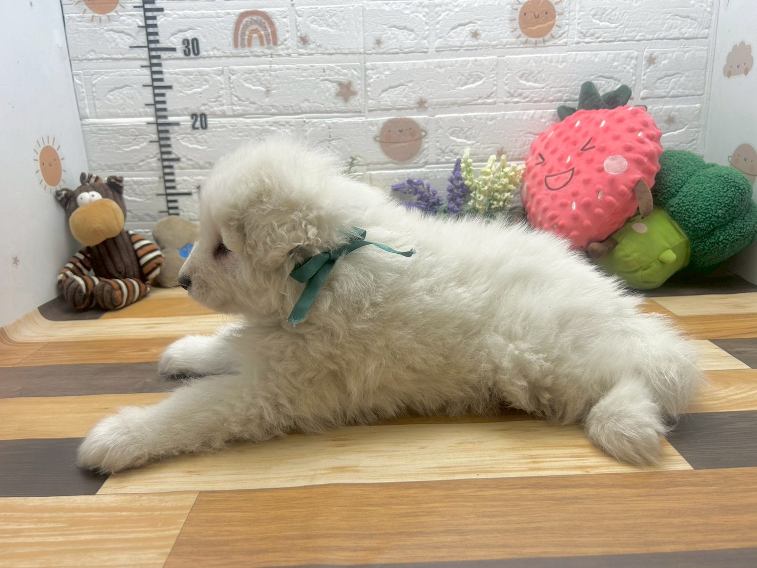 赤ちゃん写真3-2