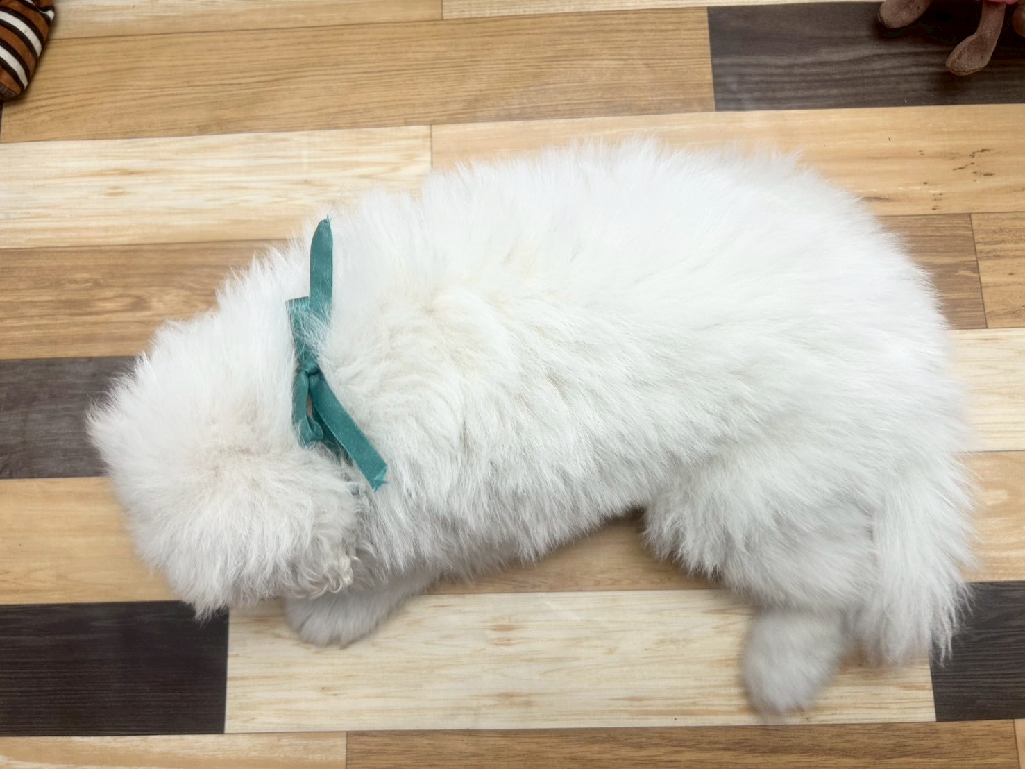 赤ちゃん写真3-3