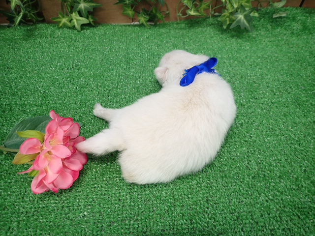 赤ちゃん写真1-3