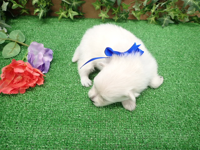 赤ちゃん写真2-3
