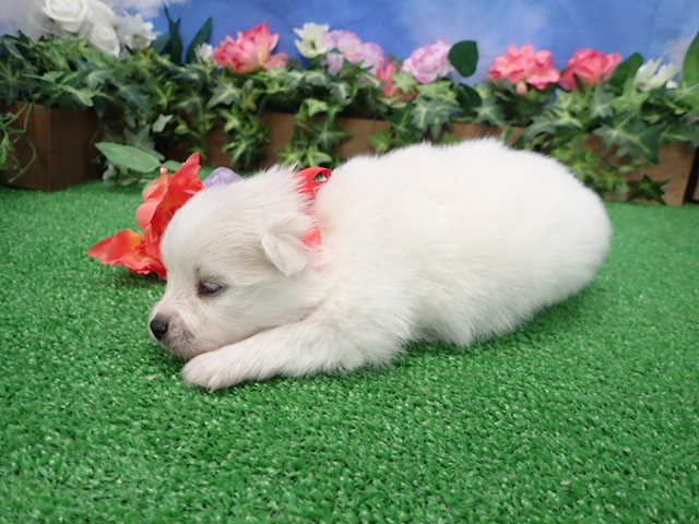 赤ちゃん写真2-2