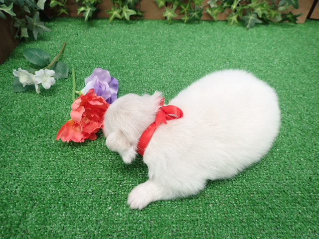 赤ちゃん写真2-3