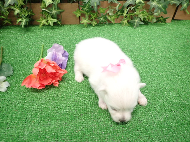 赤ちゃん写真2-3