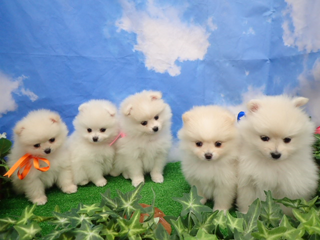 赤ちゃん写真3-3