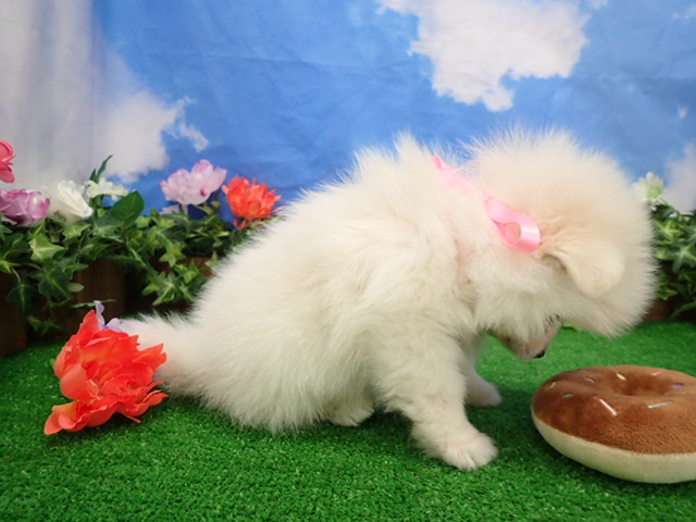 赤ちゃん写真3-2