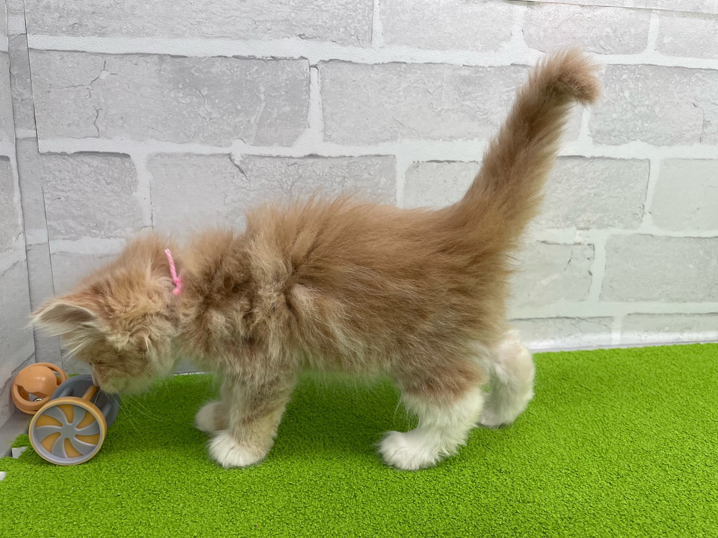 赤ちゃん写真2-2