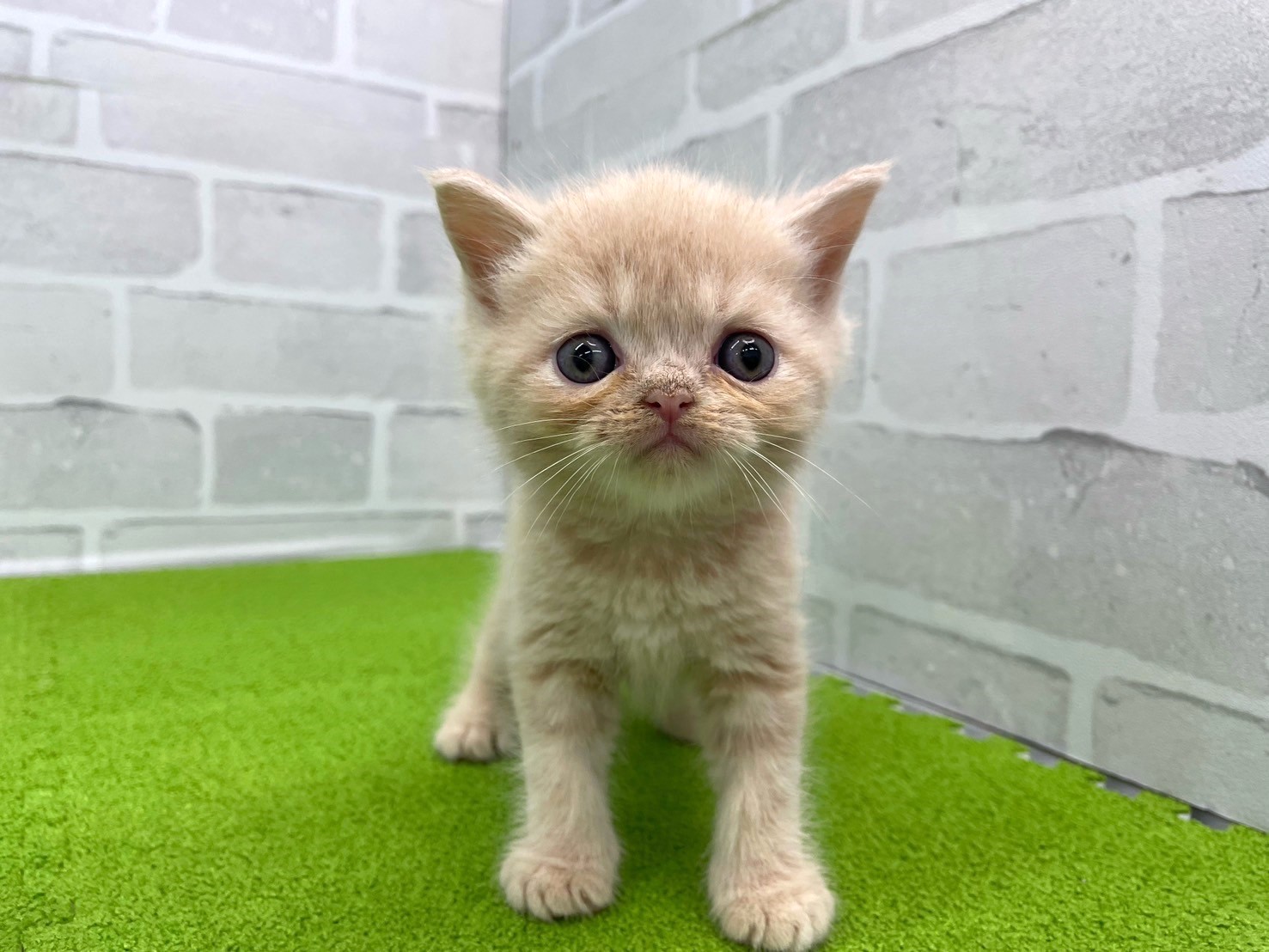 赤ちゃん写真2-1