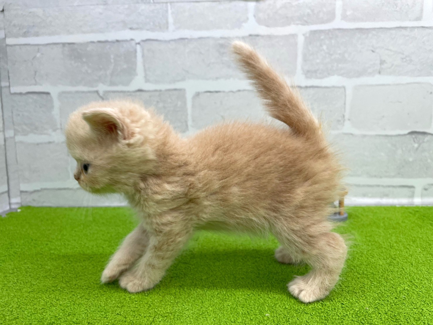 赤ちゃん写真2-2