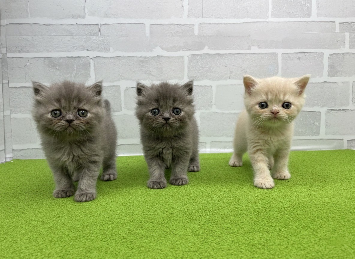 赤ちゃん写真2-3