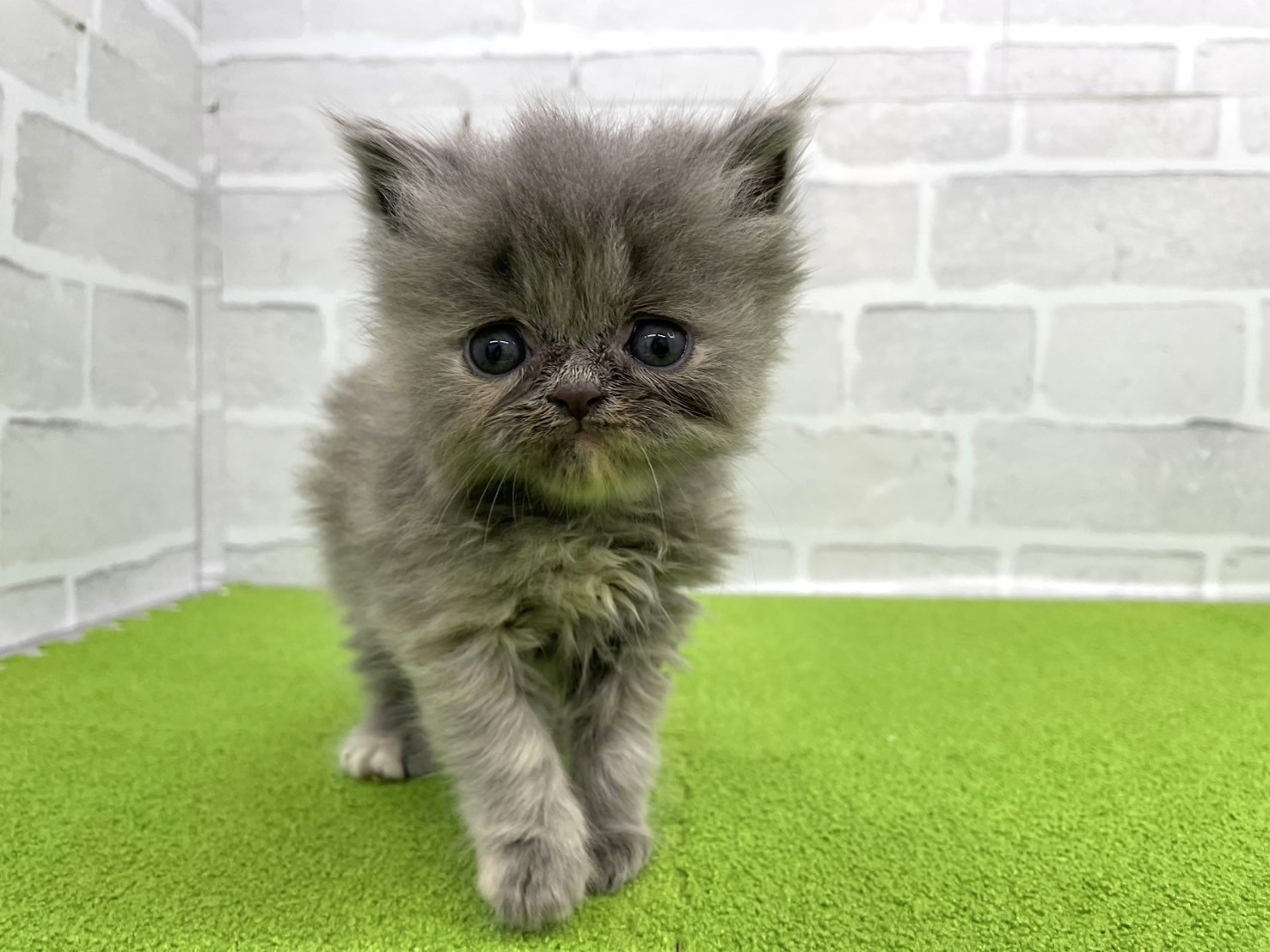 赤ちゃん写真2-1