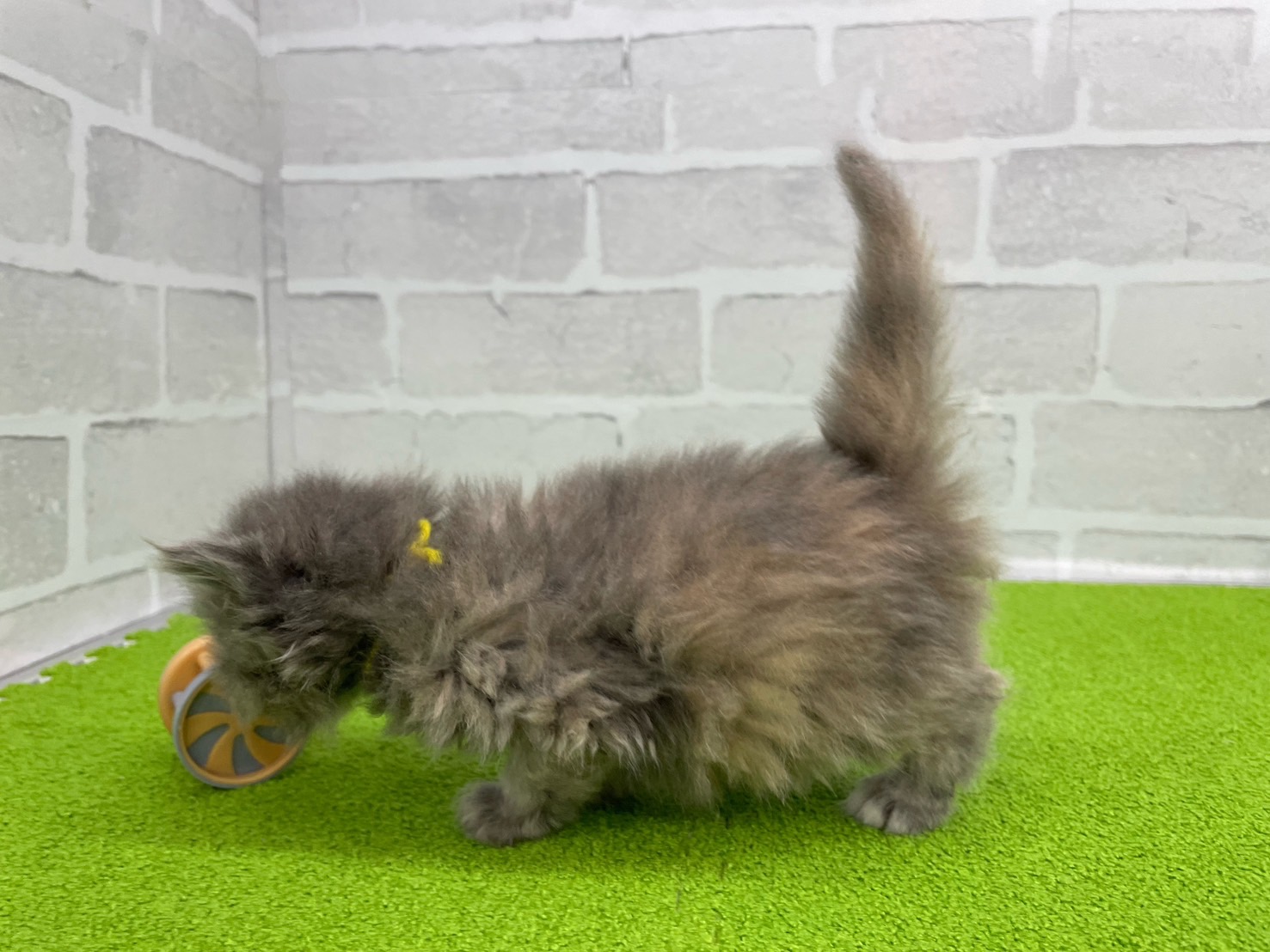 赤ちゃん写真2-2