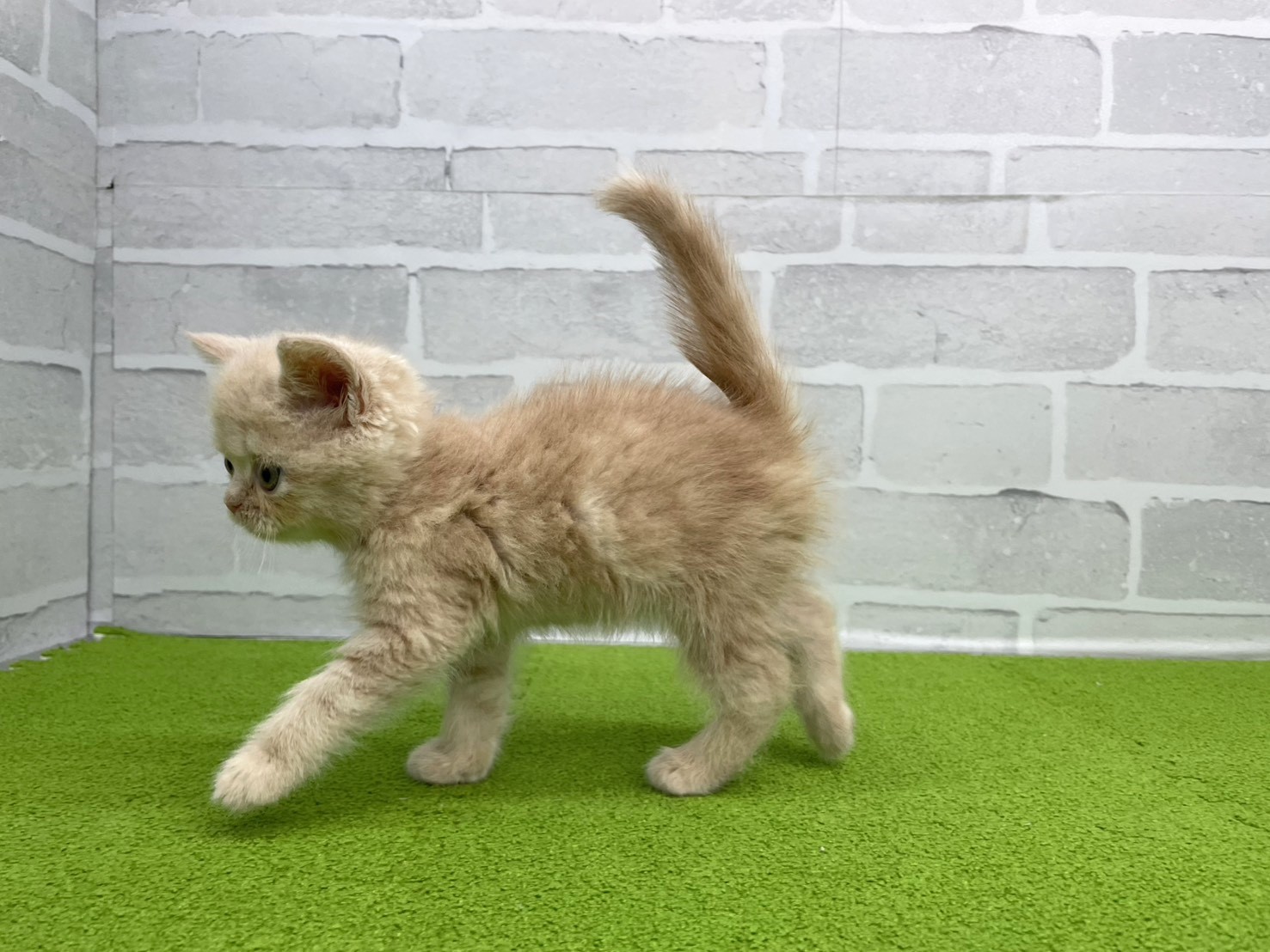 赤ちゃん写真3-2