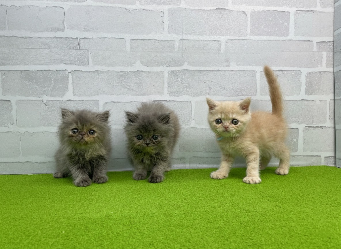 赤ちゃん写真3-3