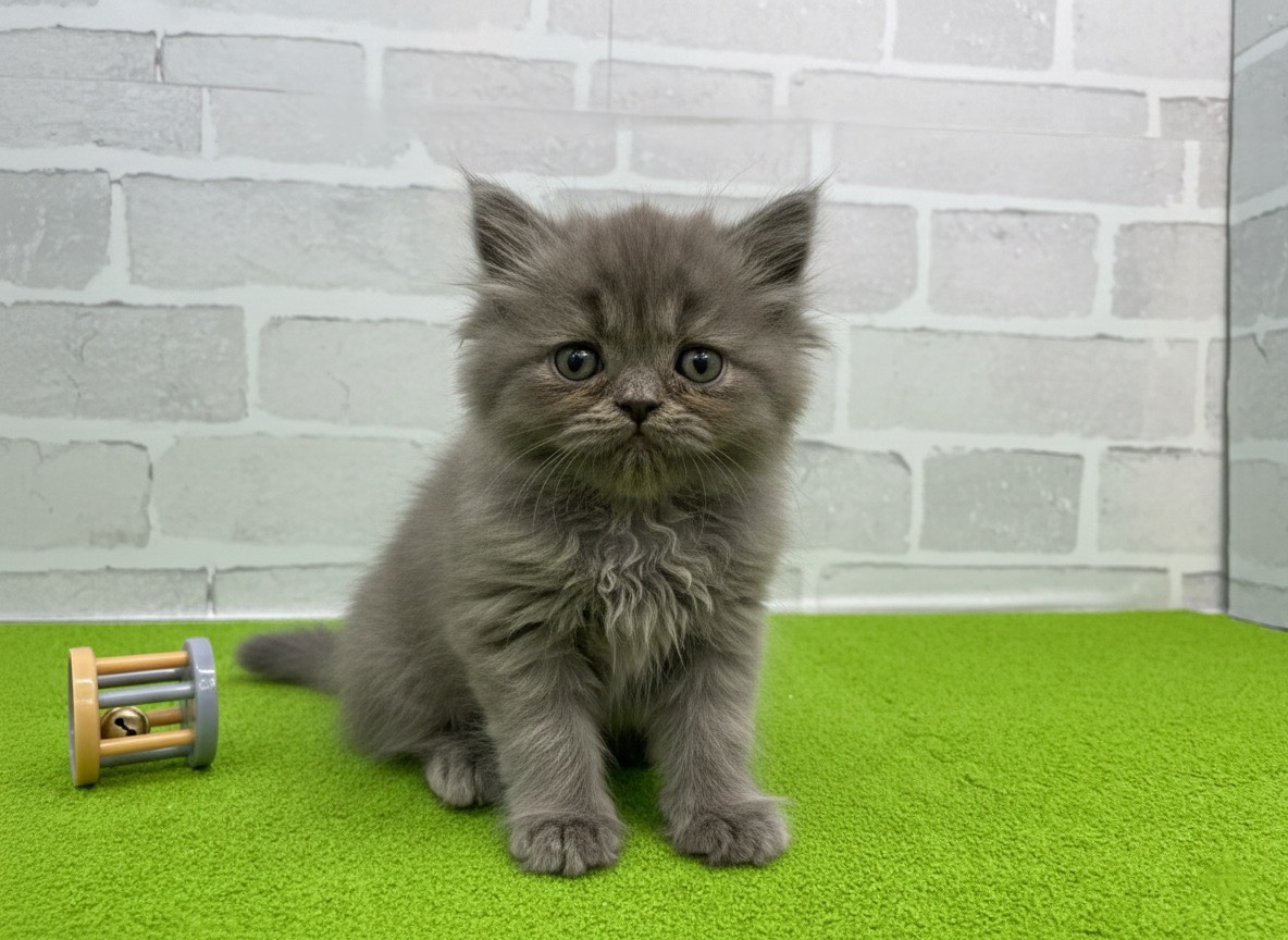 赤ちゃん写真3-1