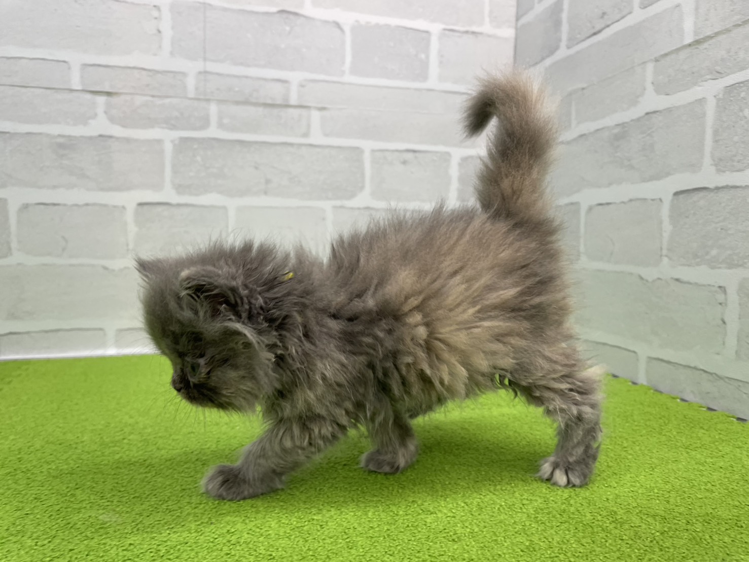 赤ちゃん写真3-2