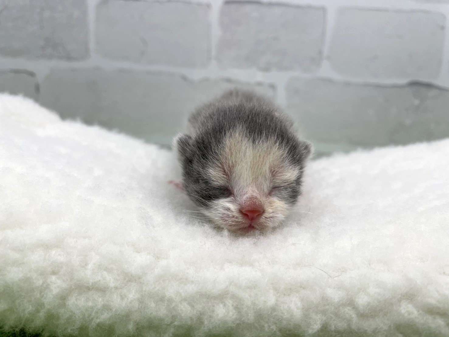 赤ちゃん写真1-1