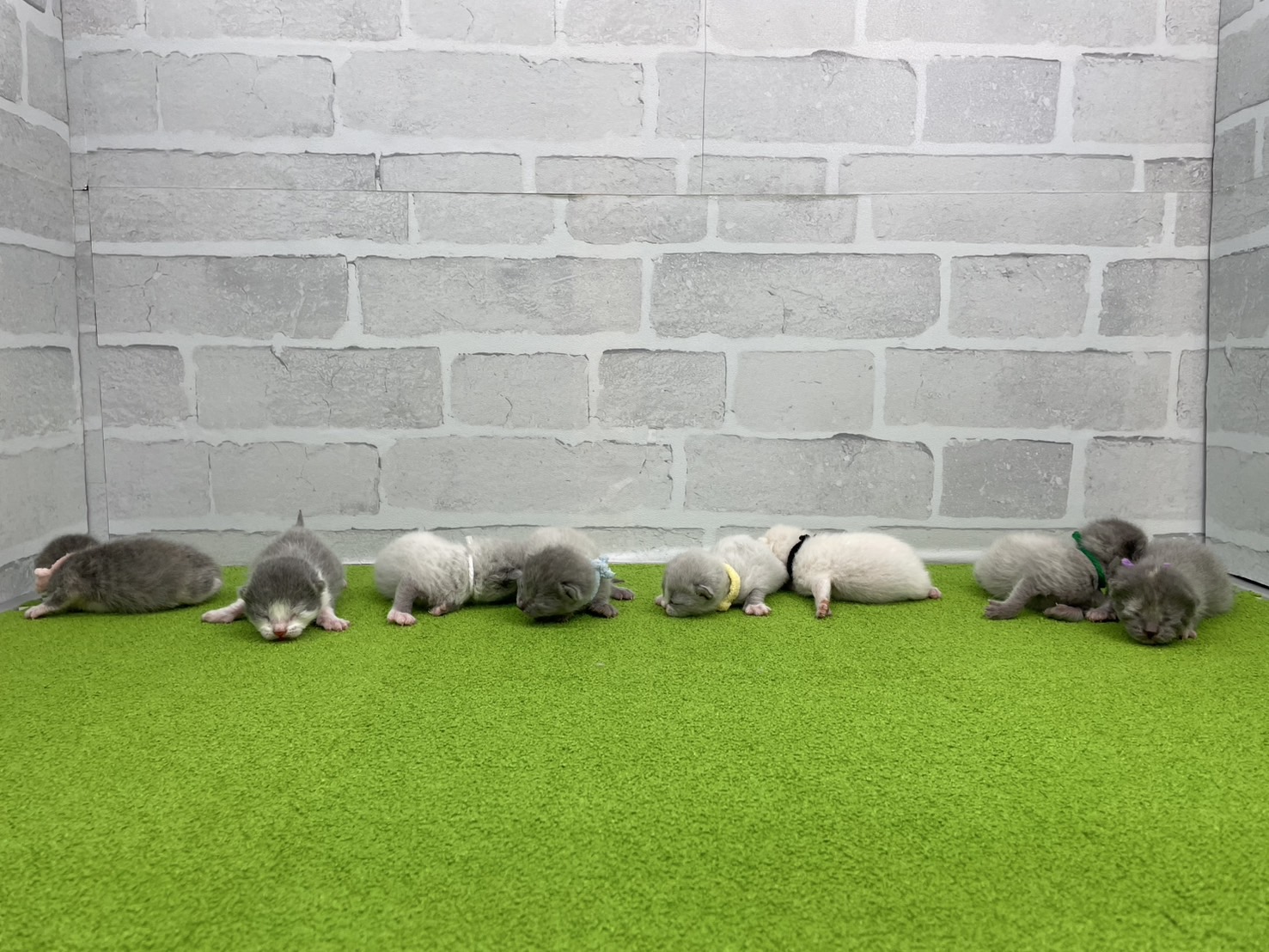 赤ちゃん写真1-3