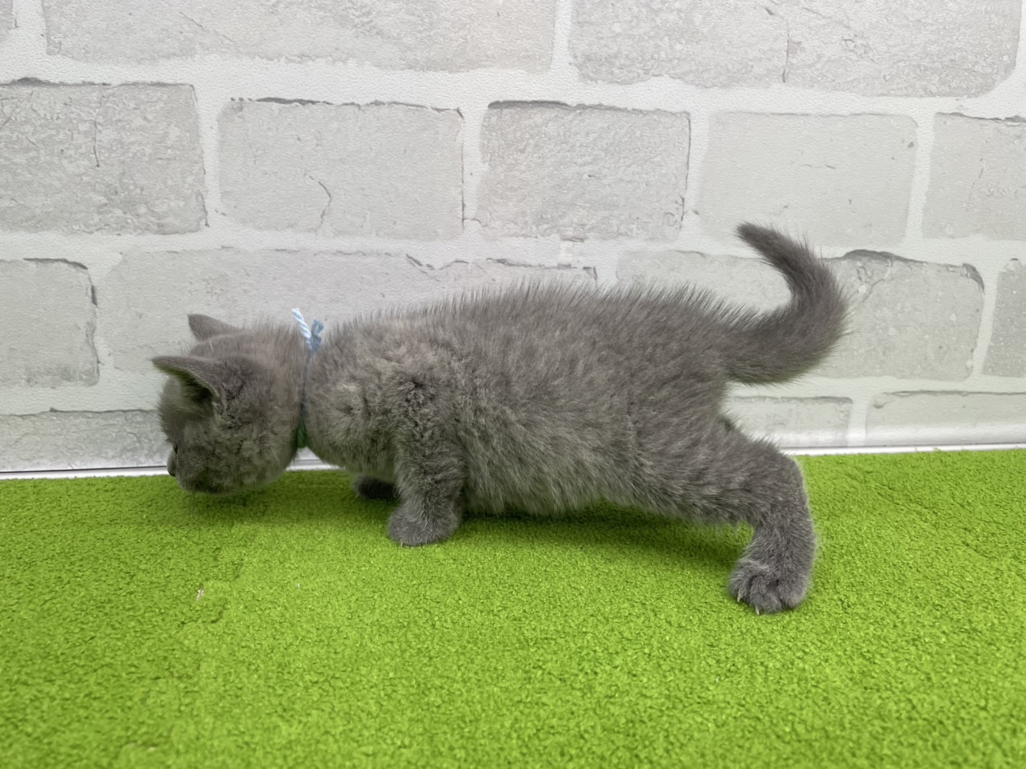 赤ちゃん写真2-2