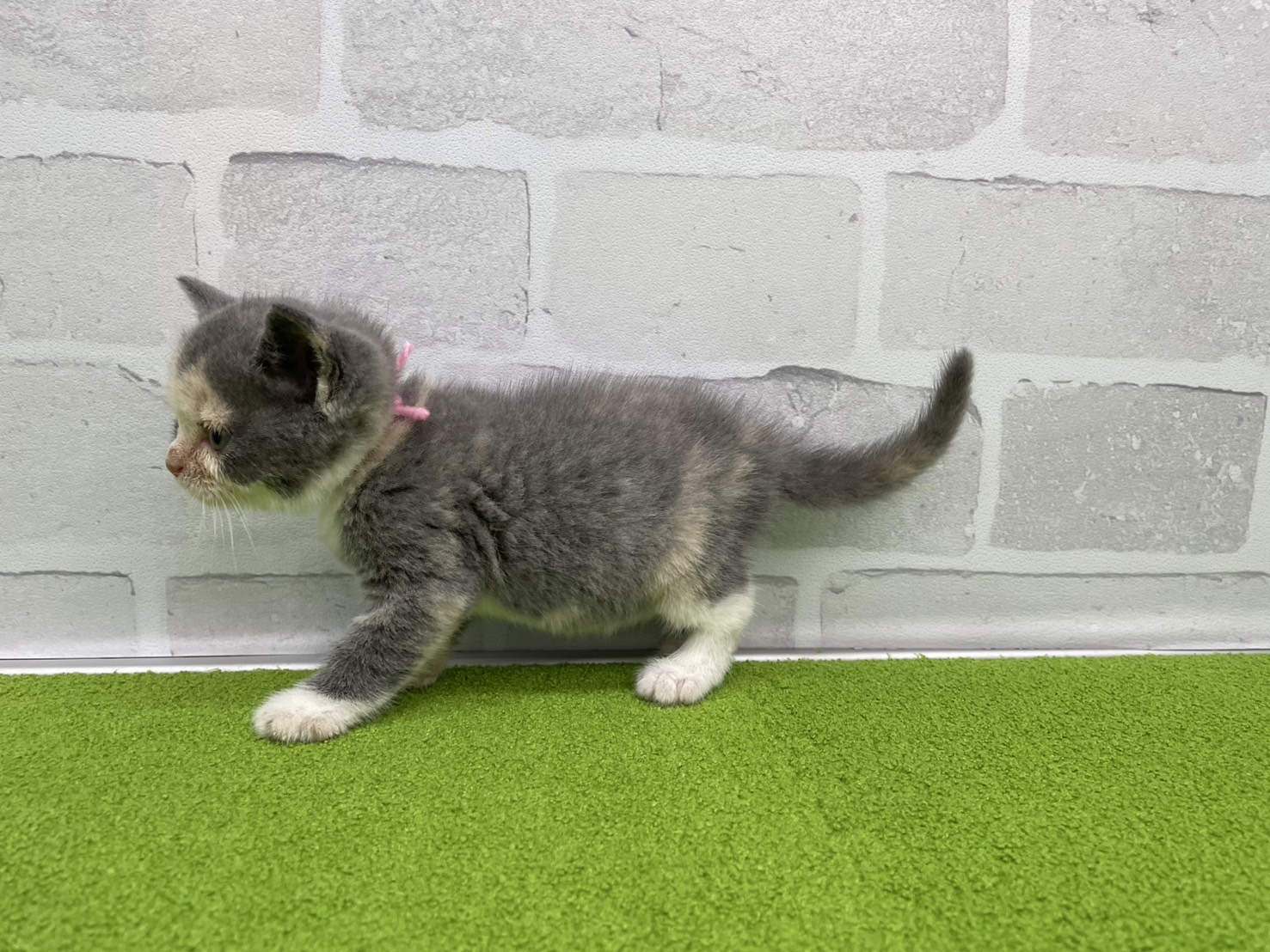 赤ちゃん写真2-2