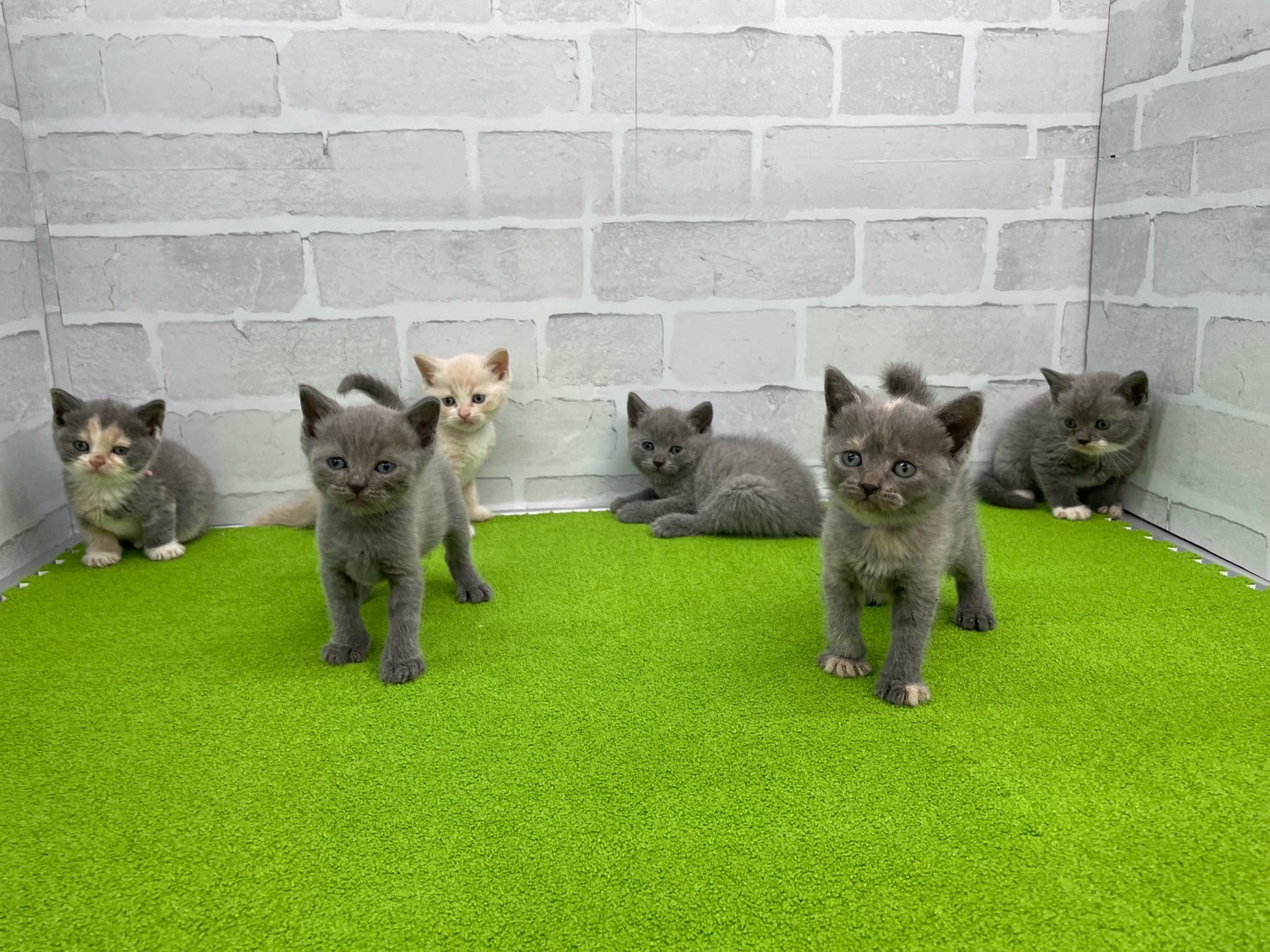 赤ちゃん写真2-3