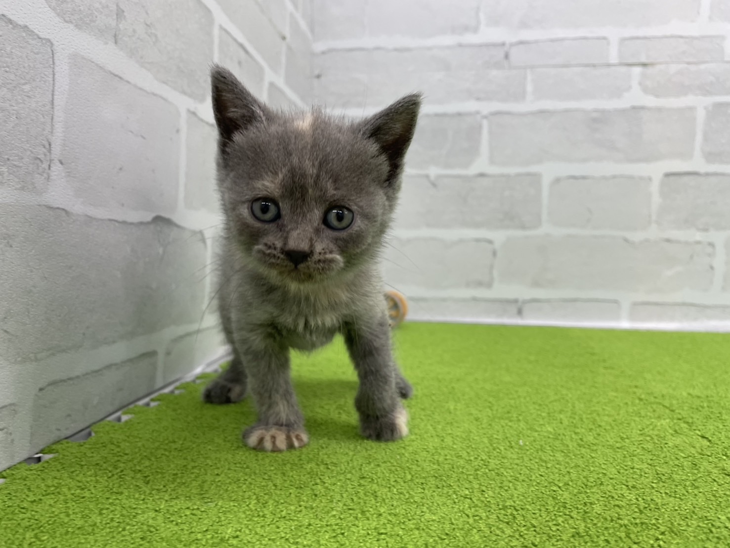 赤ちゃん写真2-1