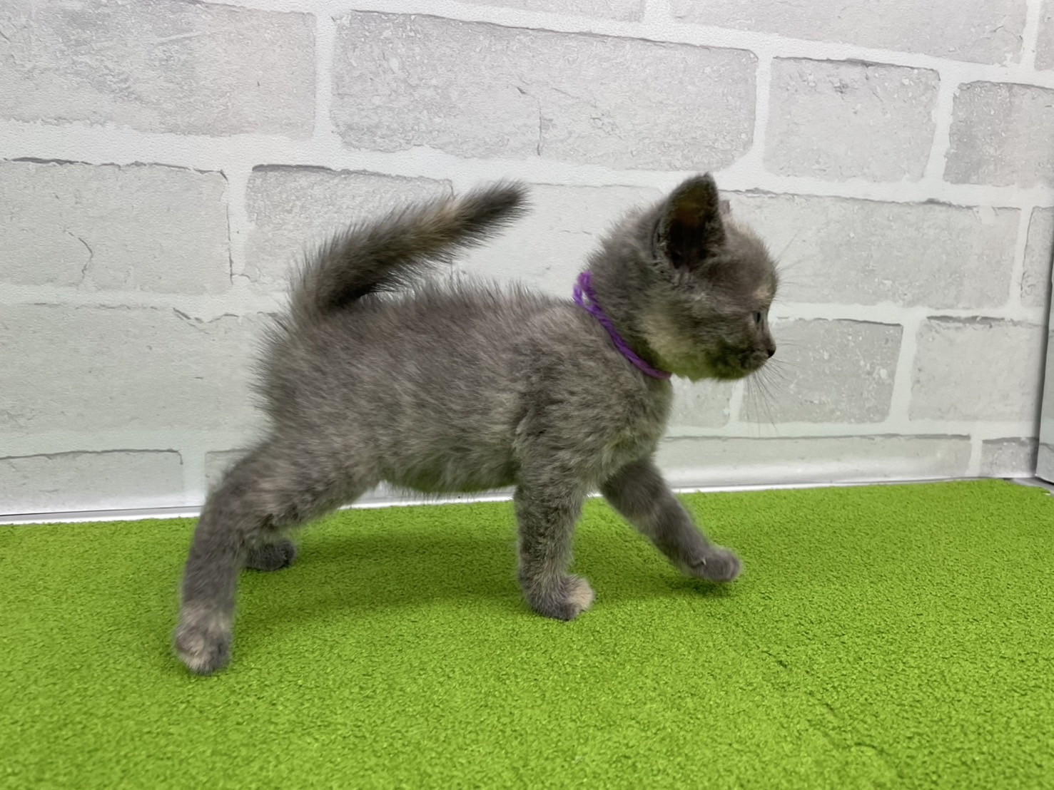 赤ちゃん写真2-2