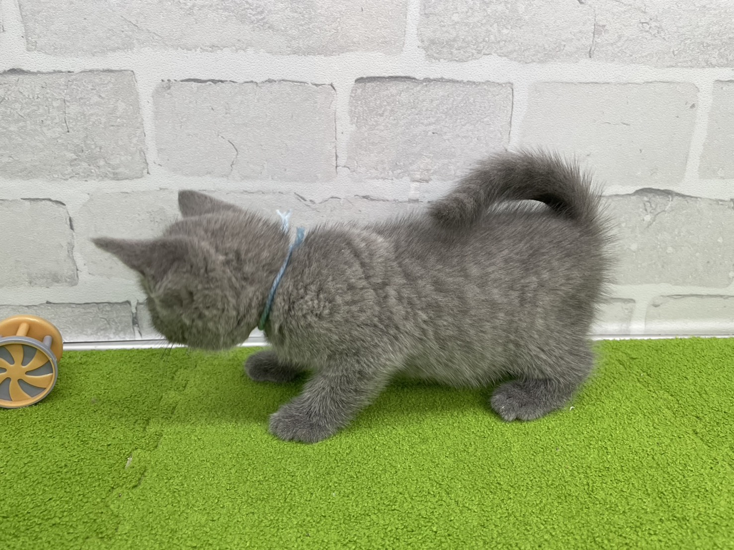 赤ちゃん写真3-2