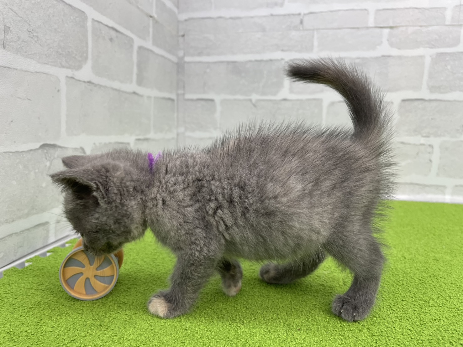 赤ちゃん写真3-2