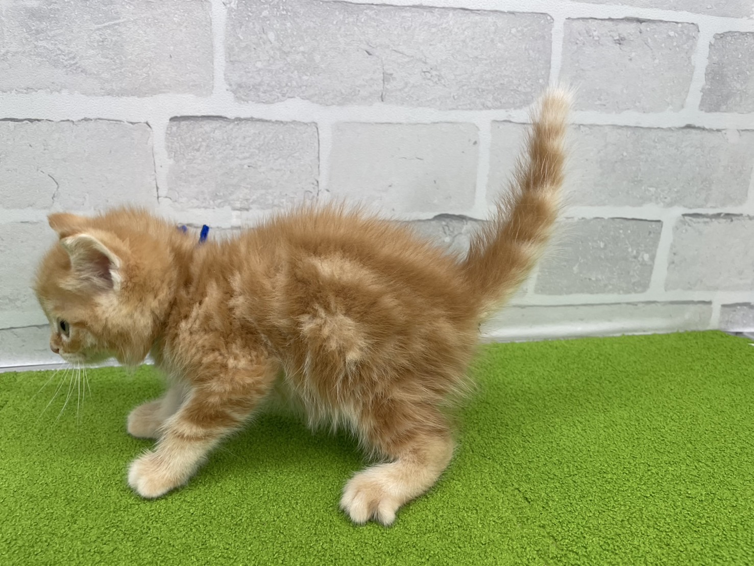 赤ちゃん写真2-2