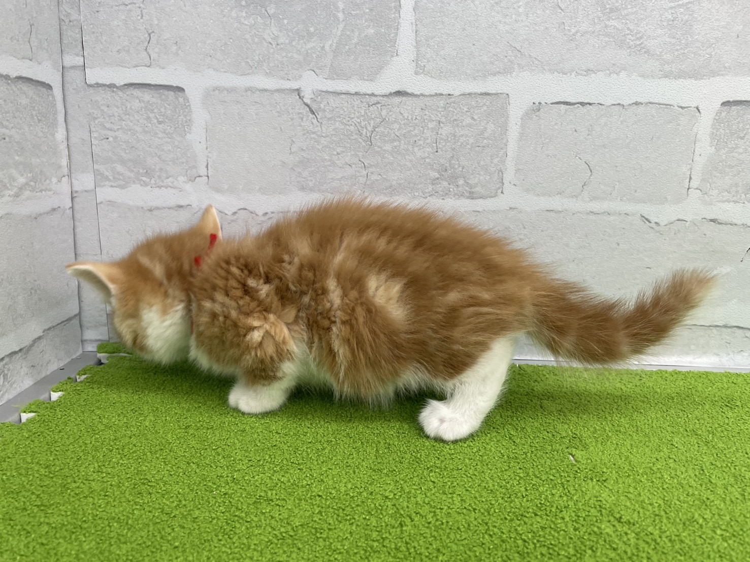 赤ちゃん写真2-2